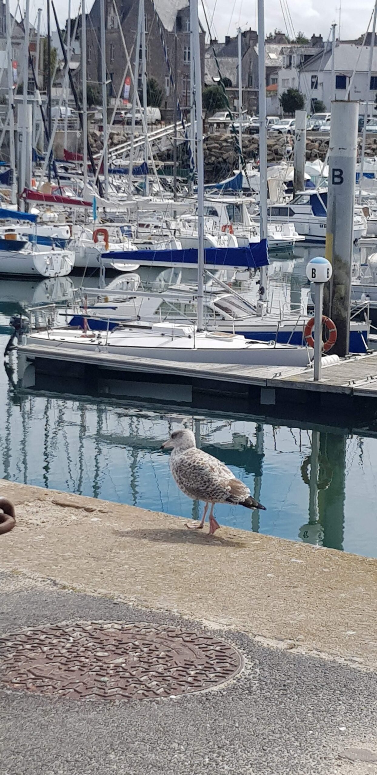 restaurant bord de mer, vue du port